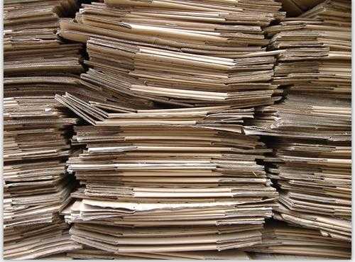 温州纸板废品回收多少钱一斤（温州造纸厂回收废纸）